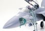 1:32 Boeing F-15E Strike Eagle Bunker Busterrel