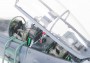 1:32 Boeing F-15E Strike Eagle Bunker Busterrel