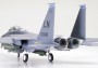 1:32 Boeing F-15E Strike Eagle Bunker Busterrel