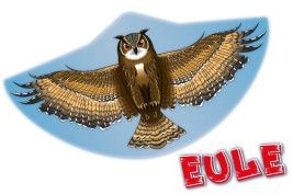 EWL 122x68 cm