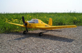 Z-37 Bumblebee EPP