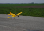 Z-37 Bumblebee EPP