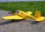 Z-37 Bumblebee EPP