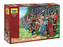 1:72 Gall harcosok