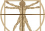 1:16 Vitruvius-tanulmány (Leonardo da Vinci 500. évfordulója)