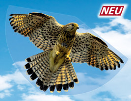 Falke – jednošňůrový drak