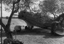 1:32 Matrica Polikarpov I-16 Type 10-hez, Spanyol Köztársaság Légierő